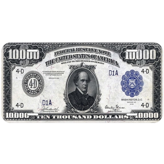 10000 Dollar Fat Novelty Auto License Plate