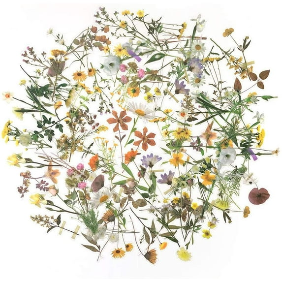1000Art Nature Flower Stickers Set(120 PCS) PET Transparent Cute Retro Floral Stickers for Scrapbooking Planner Journaling DIY Crafts Album