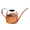 thumbnail image 1 of 1000ML Stainless Steel Watering Can indoor and outdoor Plants Long Rose, 1 of 8