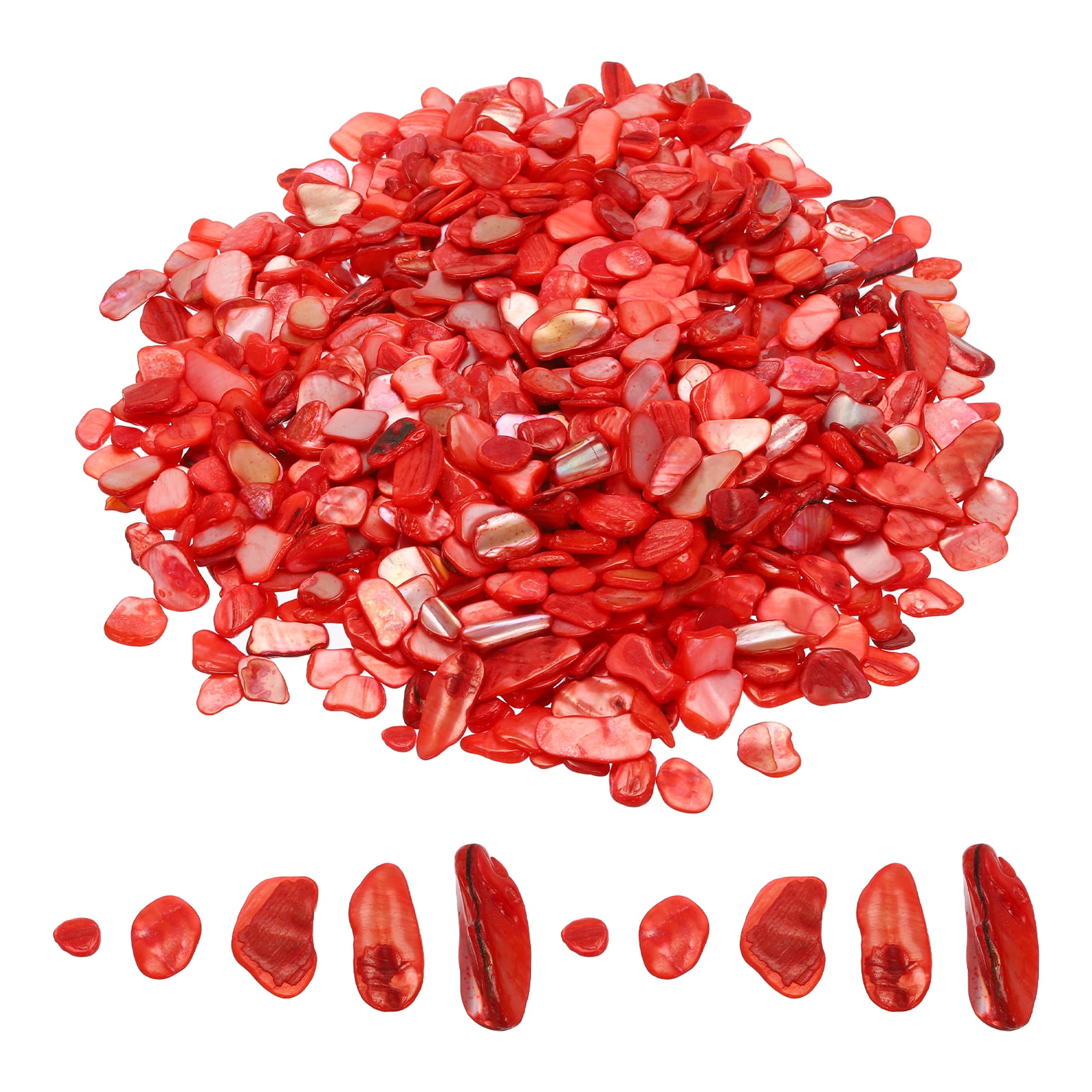 1000g Crushed Shells Irregular Natural Mosaic Sea Shell Fragments for ...