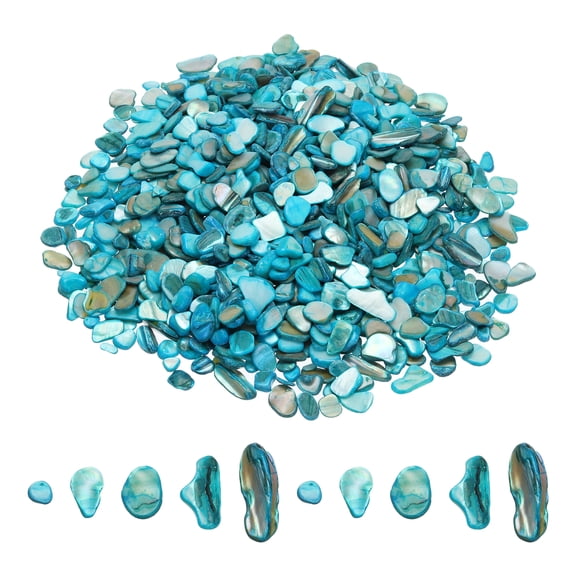1000g Crushed Shells Irregular Natural Mosaic Sea Shell Fragments for Home Decoration Art Crafts DIY Projects Sky Blue