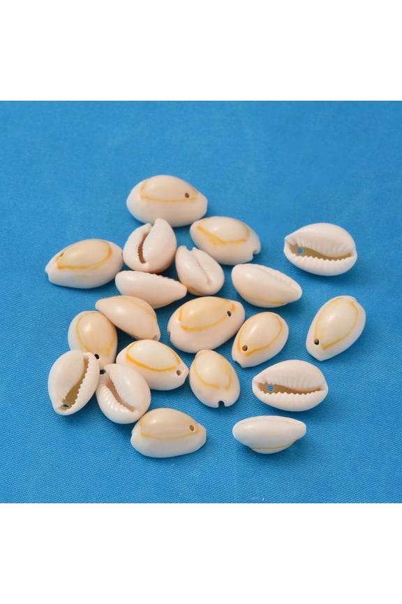 1000gs Natural Cowrie Shell Pendants Oval Shell Charms Seashell color 10~19x7~12x5~10mm Hole: 1~2mm