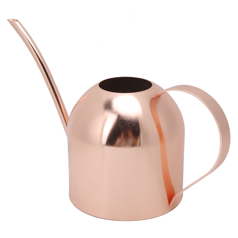 1000ml Stainless Steel Watering Can Sprinkle Pot Long Mouth Garden