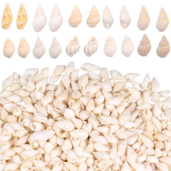 About 1000pcs(200g) Tiny Sea Shells Mixed Natural Spiral Conch Clam Ocean Seashell Fishtank Vase Fillers Bulk for DIY Crafts Home Candle Beach Themed Party Decors
