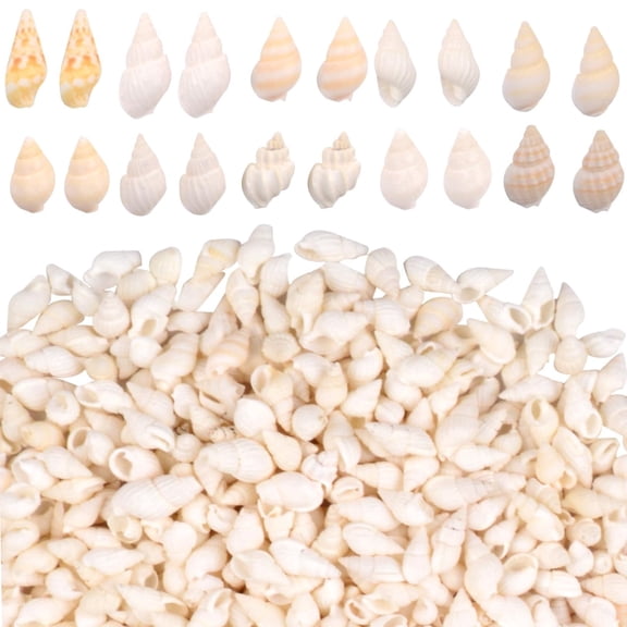 Natural Mini White Seashells, 1200 Pcs Tiny Spiral Conch Seasnail Shells, Bulk Ocean Shells for Fish Tank, Vase Fillers, Wedding & Home Decor,1‑2 cm