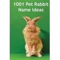 thumbnail image 1 of 1001 Pet Rabbit Name Ideas : The Most Popular, Quirky, and Fun Names You Could Give Your Pet Rabbit!, 1 of 1