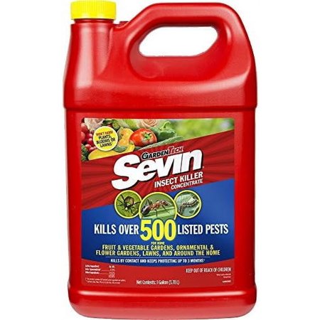 100530124 Concentrate, 1gal, 1 Gallon