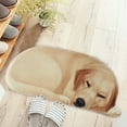thumbnail image 1 of 100Fens 3D Cute Pet Dog Themed Carpet,Welcome Floor Doormat 34.25X15.74In Non Slip Floor Mat Summer Holiday Funny Novelty Door Mats Indoor Outdoor Decor, 1 of 1