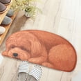 thumbnail image 1 of 100Fens 3D Cute Pet Dog Themed Carpet,Welcome Floor Doormat 34.25X15.74In Non Slip Floor Mat Summer Holiday Funny Novelty Door Mats Indoor Outdoor Decor, 1 of 1