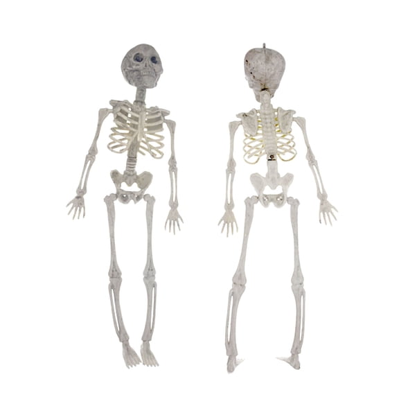 100Fens Simulation Skeleton Ghost HeadBone Model Bat Mice Mouse Skeleton Skull Festival Skeleton Ghost Haunted House Scary Equipment Props
