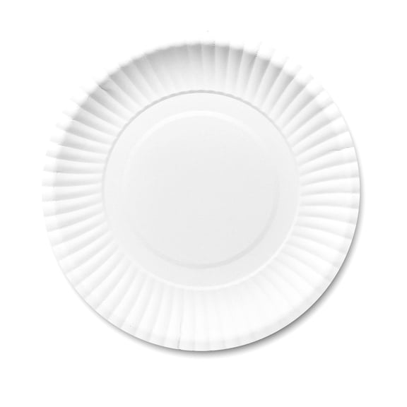 100PC Disposable Paper Plates, 6in Round Dinner Trays Bulk Party Tableware Supply, Simple Table Decor for Birthday Social Family Gathering