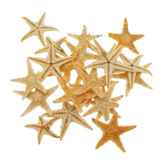 100PCS 1.5-2.5 cm Dried Starfish Natural Sea Star Shell Crafts Home Fish Tank Aquarium Decor Ornament