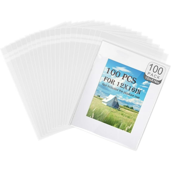 100PCS Acid-Free Crystal Clear Plastic Bags for 12x16 Art Prints/Photos ...