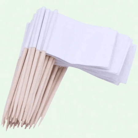 100PCS Blank Toothpick Flags, Mini Topper Flags Sticks for Cake Markers, Cupcake, Burger