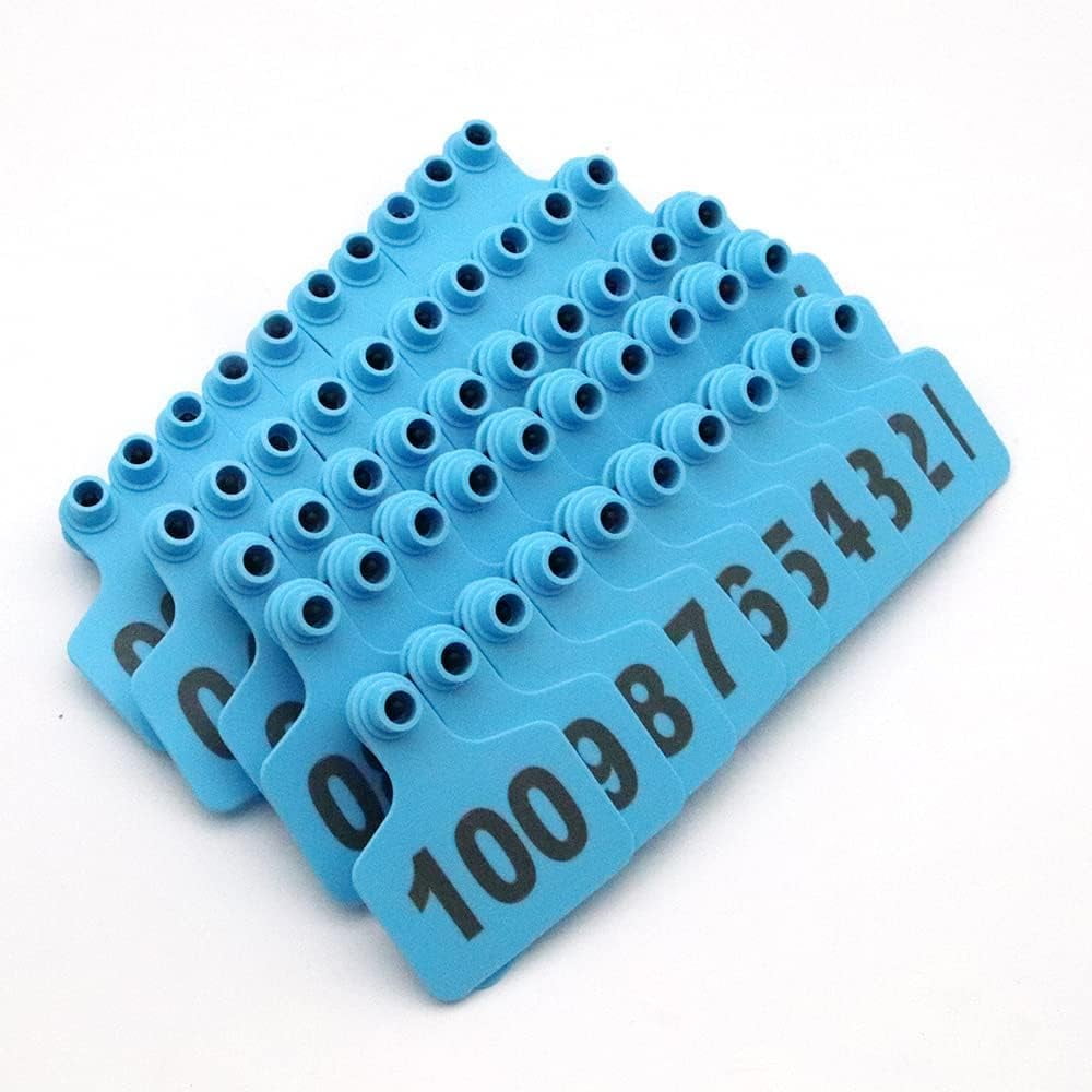 Palline Da Bingo Numerate In Plastica – Set Da 100 Pezzi Per Estrazioni, Raffle, Tombolate E Feste