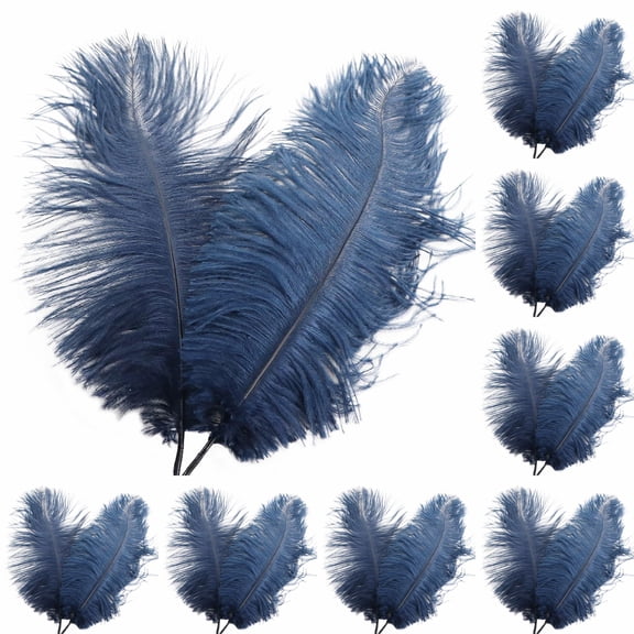 100PCS Natural Ostrich Feathers, Large Plumage for Wedding Party Centerpieces, Flower Arrangement and Home Decoration