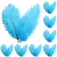 thumbnail image 1 of 100PCS Natural Ostrich Feathers, Large Plumage for Wedding Party Centerpieces, Flower Arrangement and Home Decoration, 1 of 8