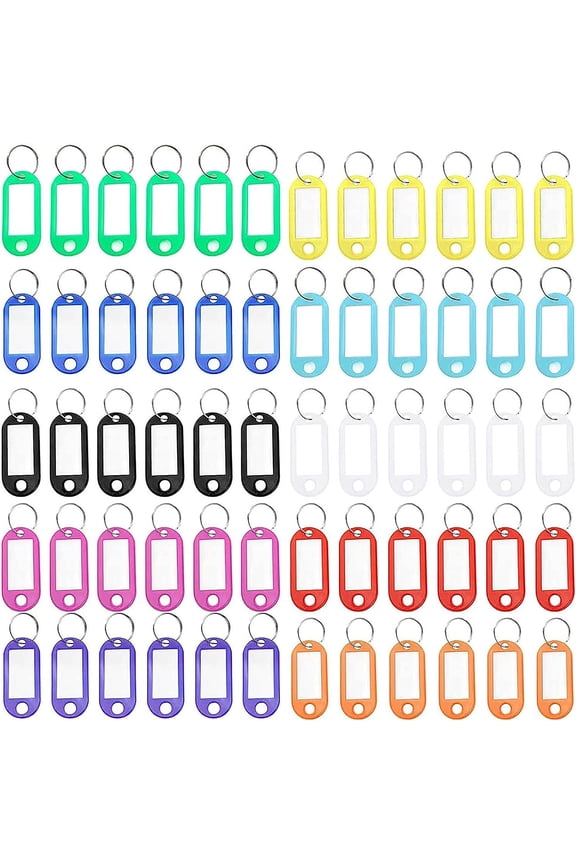 100PCS Plastic Key Tags, with Label Window ID Name and Split Ring Key Ring Keychain, 10 Colors