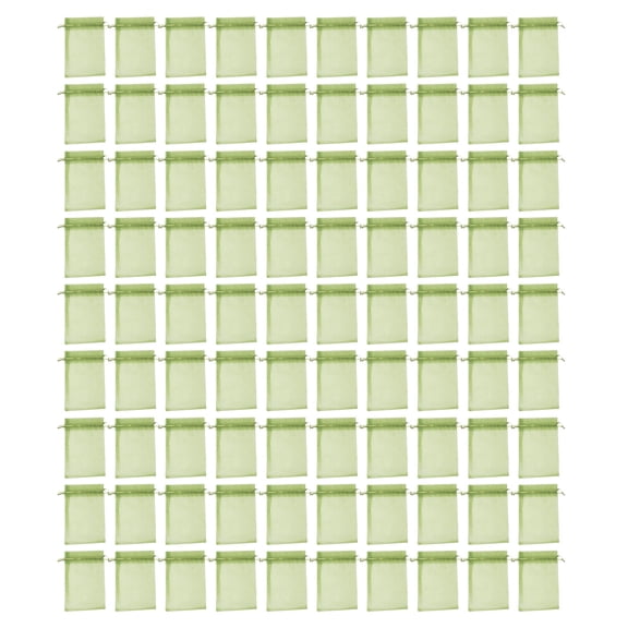 100PCS Strawberry Grapes Fruit Grow Bags Netting Mesh Vegetable Plant Protections Bags for Control Garden Tools