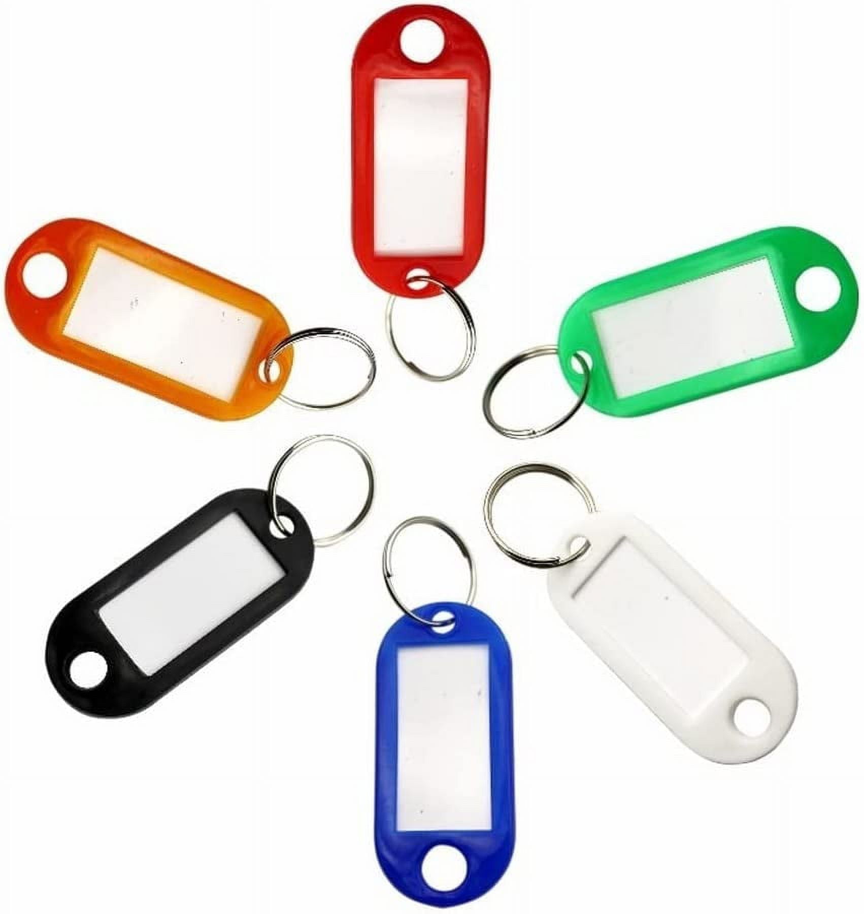 100Pack Plastic Key Tags with Container, Key Labels with Ring Label Window Key Tags Key Tags