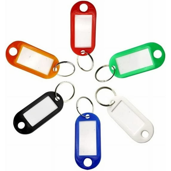 100Pack Plastic Key Tags with Container, Key Labels with Ring Label Window Key Tags Key Tags with Labels