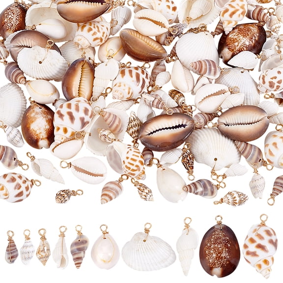 100Pcs 10 Styles Shell Pendants Shell Conch with Light Golden Copper Wire Mixed Color 17-33mm 10pcs/style
