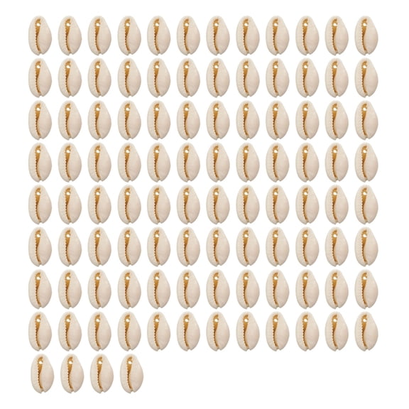 100Pcs Assorted Seashells for Home Ornamentation Sea Shell Accessories Jewelry Components for Crafting Enthusiasts