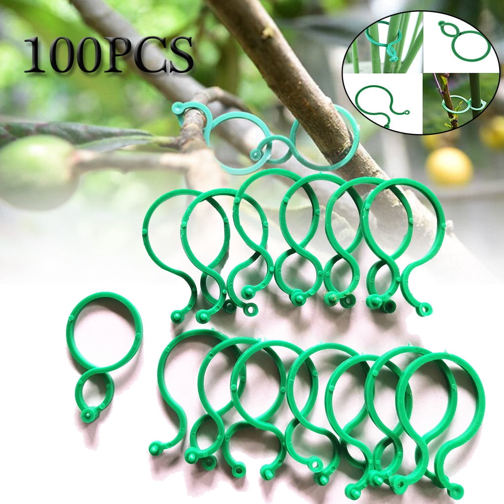 100Pcs BotanyStem Vine Strapping Clips Garden Bundled Buckle Ring Tool