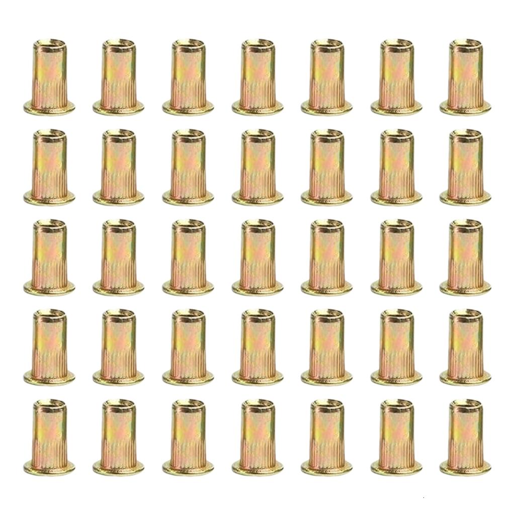 100Pcs Carbon Steel Rivets Nut Nutsert Flat heads Blind Rivets Nut ...