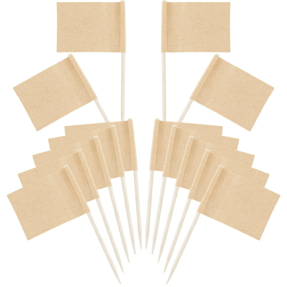100Pcs Cheese Markers Blank Toothpick Flags Paper Food Signs Cheese Buffet Labels Appetizer Tags Cupcake Toppers Picks