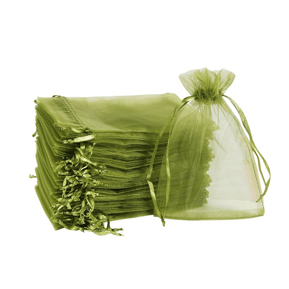 100Pcs Fruit Protection Bags (4X6 Inches) Green Mesh Lid Bag Drawstring Mesh for Fruit Protection Vegetable Garden