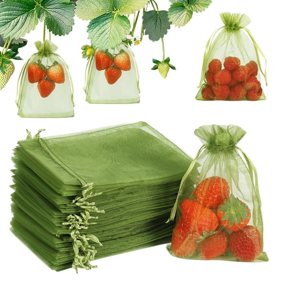 100Pcs Fruit Protection Bags, 4x6 Inch Green Strawberry Netting Cover Drawstring Mesh Bags Pest Barrier for Blueberry Small Fruit