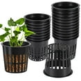 thumbnail image 1 of 100Pcs Grow Orchids Wide Lip Universal Hydroponics Cups Planting Mesh Pot Soilless Net Basket Slotted Container Colonization Black, 1 of 4