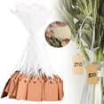 thumbnail image 1 of 100Pcs Kraft Price Tags with String Attached, Premium Hang Tags with String, Marking Strung Writable Price Labels, Marking Merchandise Strung Writable Label Hang Tags, 1 of 9