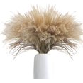 thumbnail image 1 of 100Pcs Natural Dried Pampas Grass Plume 17inch Tall Dried Flowers Large Faux Reed Artificial Plants for Wedding Flower Arrangements Farmhouse Wreath Door Centerpiece Home Décor Brown, 1 of 4