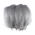 thumbnail image 1 of 100Pcs Natural Feathers for Diy Crafts, Wedding Decor, Hair Accessories & Costume Design, 5-7 Inch Length Black Feathers,Under $5 Craft Feathers by Goohae,Grey, 1 of 2