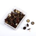 thumbnail image 1 of 100Pcs  Round Head Bulletin Drawing Tacks Point Map Thumb Cork Board Tacks Map Tacks Decorative Thumb Tacks Round Push Pins COFFEE, 1 of 8