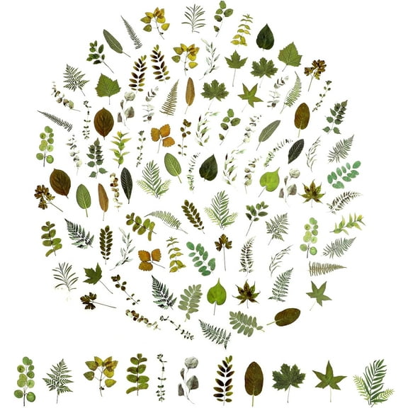 100Pcs Small Green Leaf Stickers Green Botanical Leaf Scrapbook Sticker, Nature Plant Stickers Aesthetic Plant Leaves Nature Greenery Sticker for Scrapbooking Envelope Planner Album Journal DIY Craft