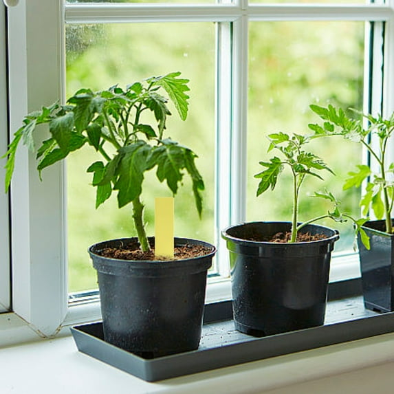 100Pcs Waterproof Labels - Durable Garden Markers for Outdoor and Indoor Use, Reusable Tags for Gardeners, for Organizing Your Garden