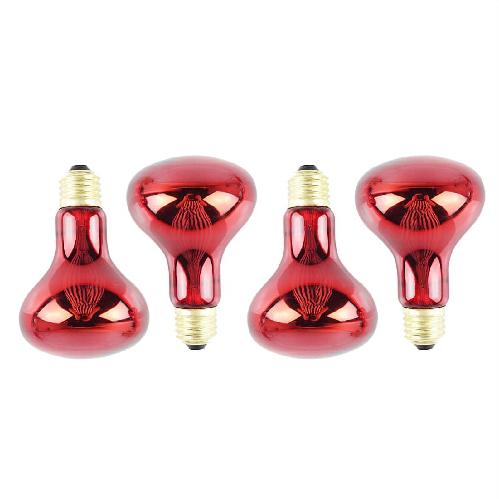 100W 4Pack Infrared Heat Lamp Bulb Red Light Bulbs for Pet Lizards Bearded Snakes Reptiles 220V