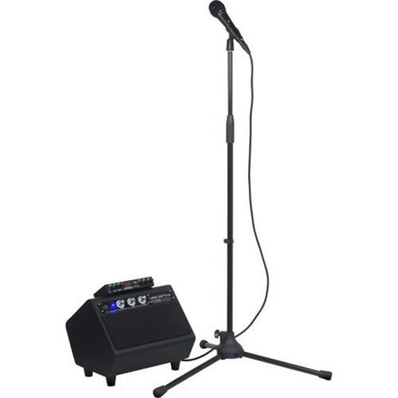 100W Karaoke System