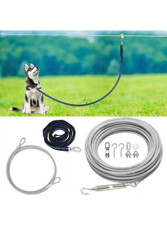 Dog Tie Outs in Dogs