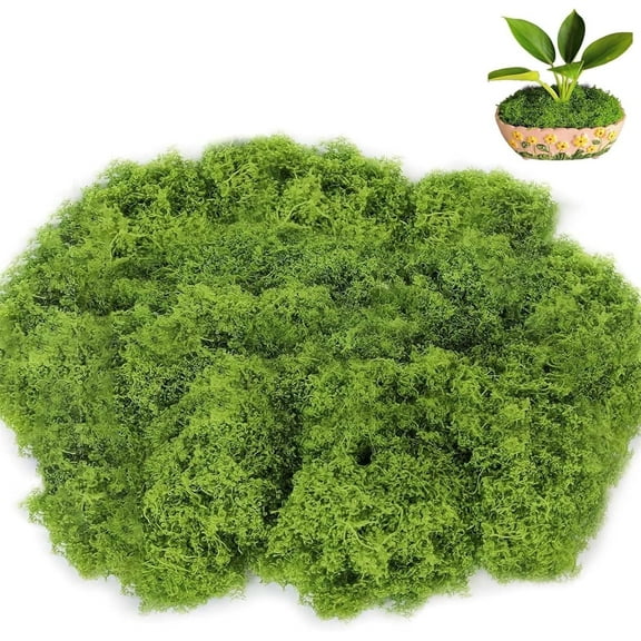 100g Artificial Moss for Plant Pots,Bexikou Preserved Moss Decorative,Fake Green Lichen Plants,Green Faux Moss for Floral Arrangements, Crafting, Flower Plant Garden Lawn Crafts Decoration
