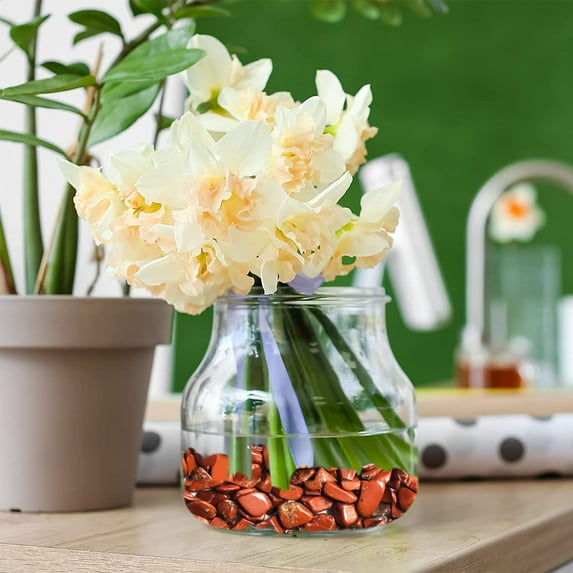 100g Decorative Quartz Pebbles Irregular Shaped Red Jasper Stones Small Tumbled Chip Gravel Crushed Gemstone Pieces Natural Red Materials for Handicrafts/Home Decoration