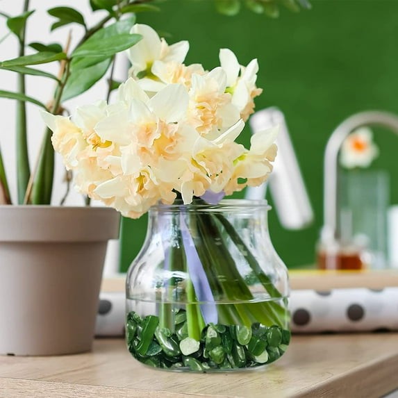 100g Natural Green Jasper Crystal Chips, 5-7mm Tumbled Chips Crushed Crystal Stone, Polished Crystal Chip for Fish Tank, Healing Tumbled Chip for Reiki Crystal Jewelry Making Home Décor