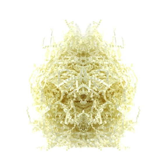 100g /Pack Holiday /Festival Accessory Colorful Shred Filler For Gifts Baskets