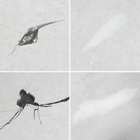 100g Tile Repair Paste - Ceramic & Bathtub Crack Adhesive (3.5oz) Waterproof Multi-Surface Fix