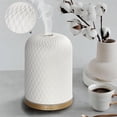 thumbnail image 1 of 100ml essential oil diffuser, diffuser for home, With timing aromatherapy diffusers for bedroom, Halloween, Christmas holiday gifts, 1 of 5