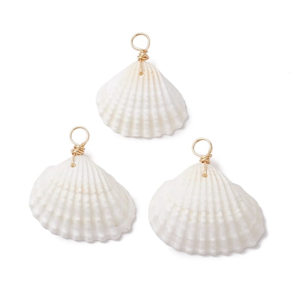 100pc Natural Ark Shell Pendants Shell Shape Charms with Copper Wire Loops Light Gold 28~34x24.5~30.5x9~12.5mm Hole: 4mm