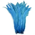 thumbnail image 1 of 100pcs 25-40cm Wholesale Rooster Feathers Wedding Crafts DIY Natural Feather Handwork Party Plume Carnival Headwear Decoration Lake Blue 35-40cm, 1 of 6